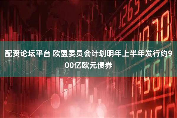 配资论坛平台 欧盟委员会计划明年上半年发行约900亿欧元债券